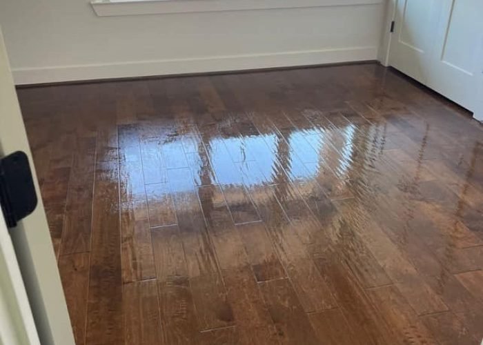 467322468_122167162856279963_6447429635194115032_n